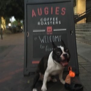 Meet your Posher, Lee